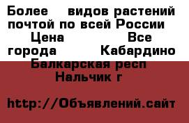 Более200 видов растений почтой по всей России › Цена ­ 100-500 - Все города  »    . Кабардино-Балкарская респ.,Нальчик г.